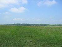 Walking Pickett's Charge at Gettysburg - the way out