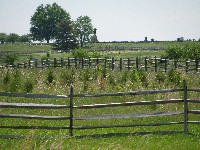 Walking Pickett's Charge at Gettysburg - the way out