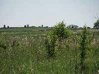 Walking Pickett's Charge at Gettysburg - the way out